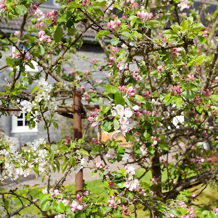 Appartement Am Marienbach