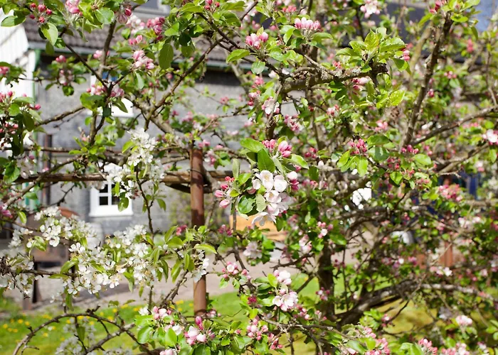 公寓 Am Marienbach